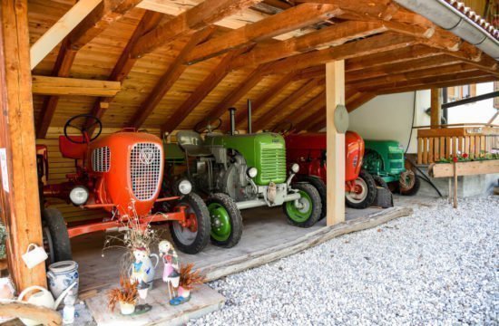 loechlerhof-brixen-umgebung (10)