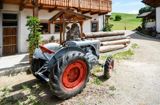 loechlerhof-bressanone-dintorni (26)